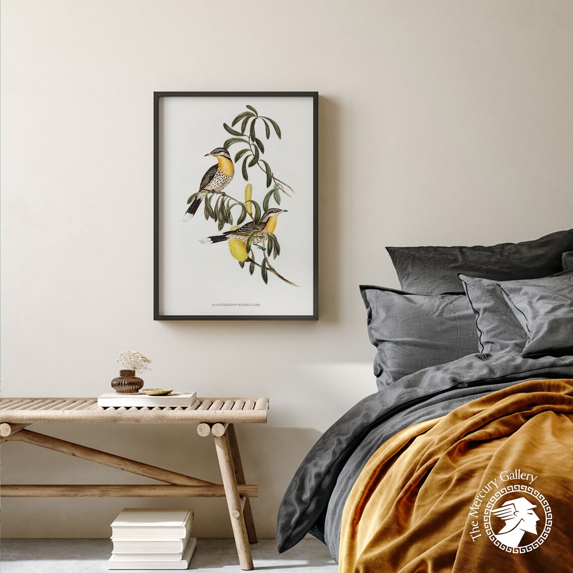 Spiny Cheeked Honeyeater Vintage Australian Bird Illustration Print - Image 3