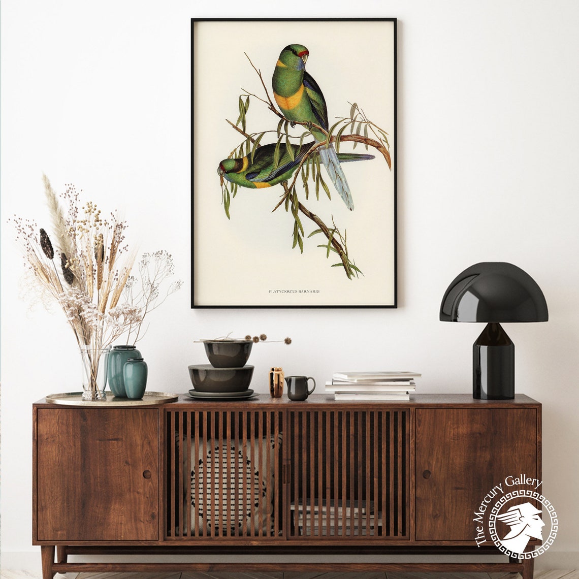 Vintage Barnard's Parakeet Pair Antique Australian Bird Art Print - Image 4