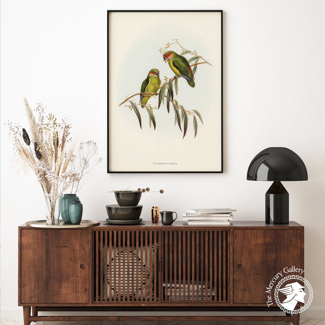 Vintage Coxen's Fig Parrot Pair Antique Australian Bird Art Print - Image 4