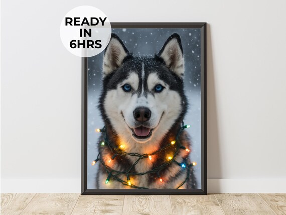 Siberian Husky Tangled in Christmas Lights Snow Holiday Poster
