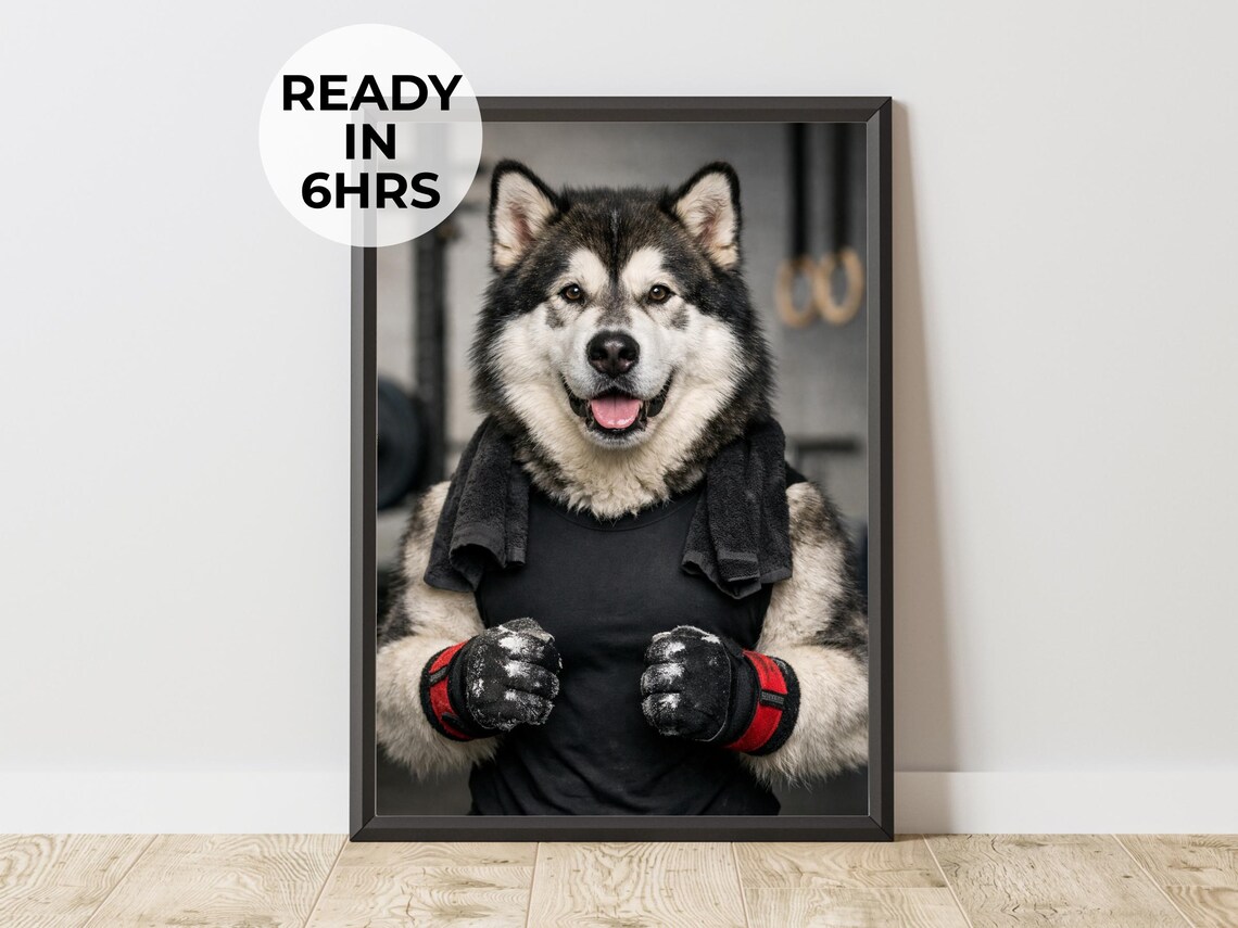 Husky Weightlifter Dog In Boxing Gloves Gym Portrait Funny Pet Poster