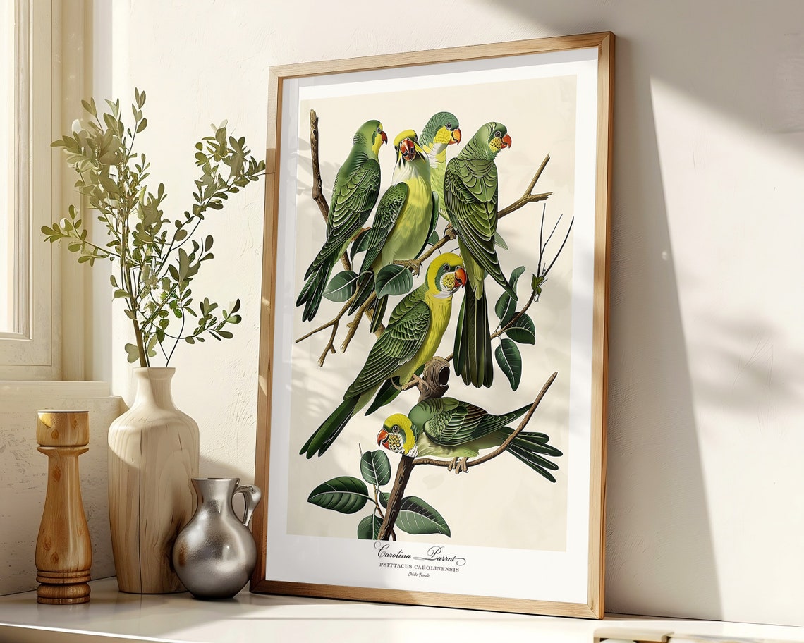 Carolina Parrots Vintage Ornithology Bird Plate Style Poster - Image 5