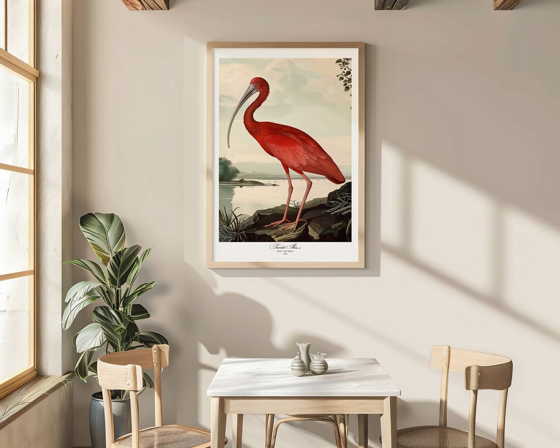 Scarlet Ibis Audubon Style Vintage Bird Illustration Nature Poster - Image 2