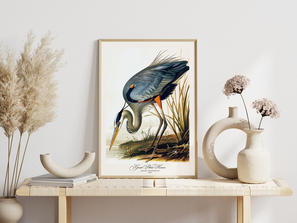 Audubon Style Bird Print Set, Vintage Wildlife Poster - Image 2