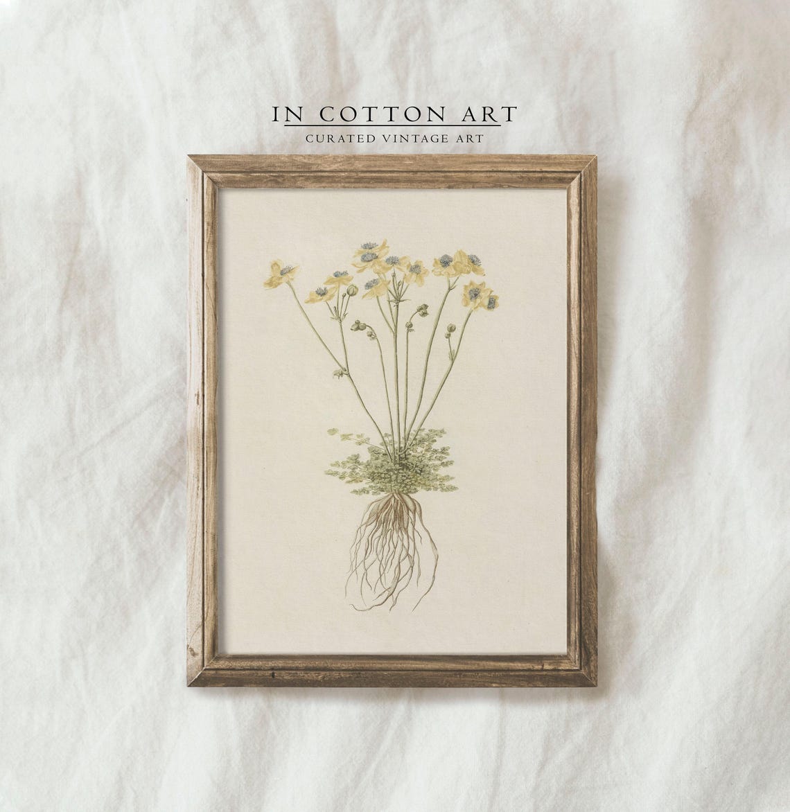 Antique Yellow Wildflower Botanical Roots Illustration Art Print - Image 3