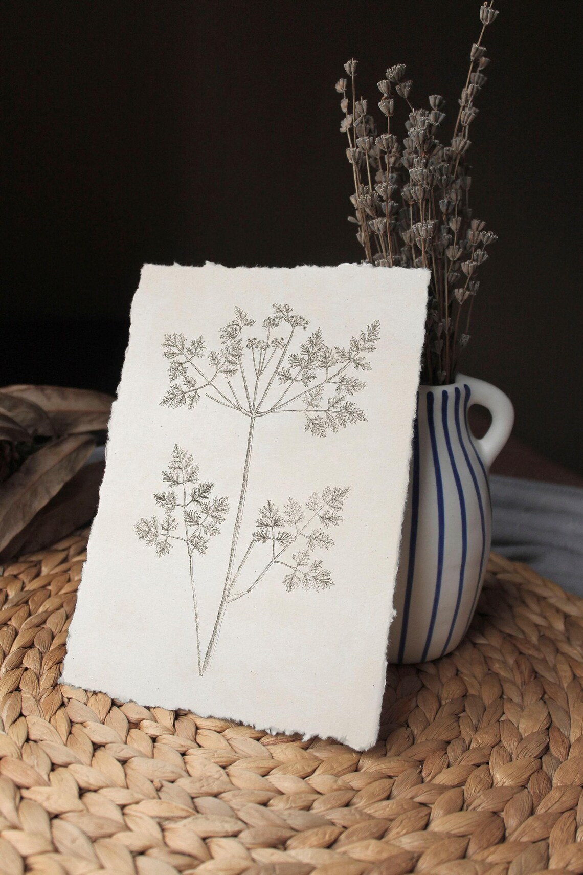 Vintage Botanical Branch Sketch Art Print, Farmhouse - Image 3