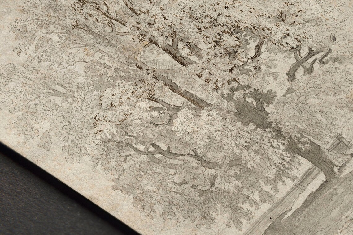 Vintage Tree Drawing, Rustic Wall Art Print - Image 2