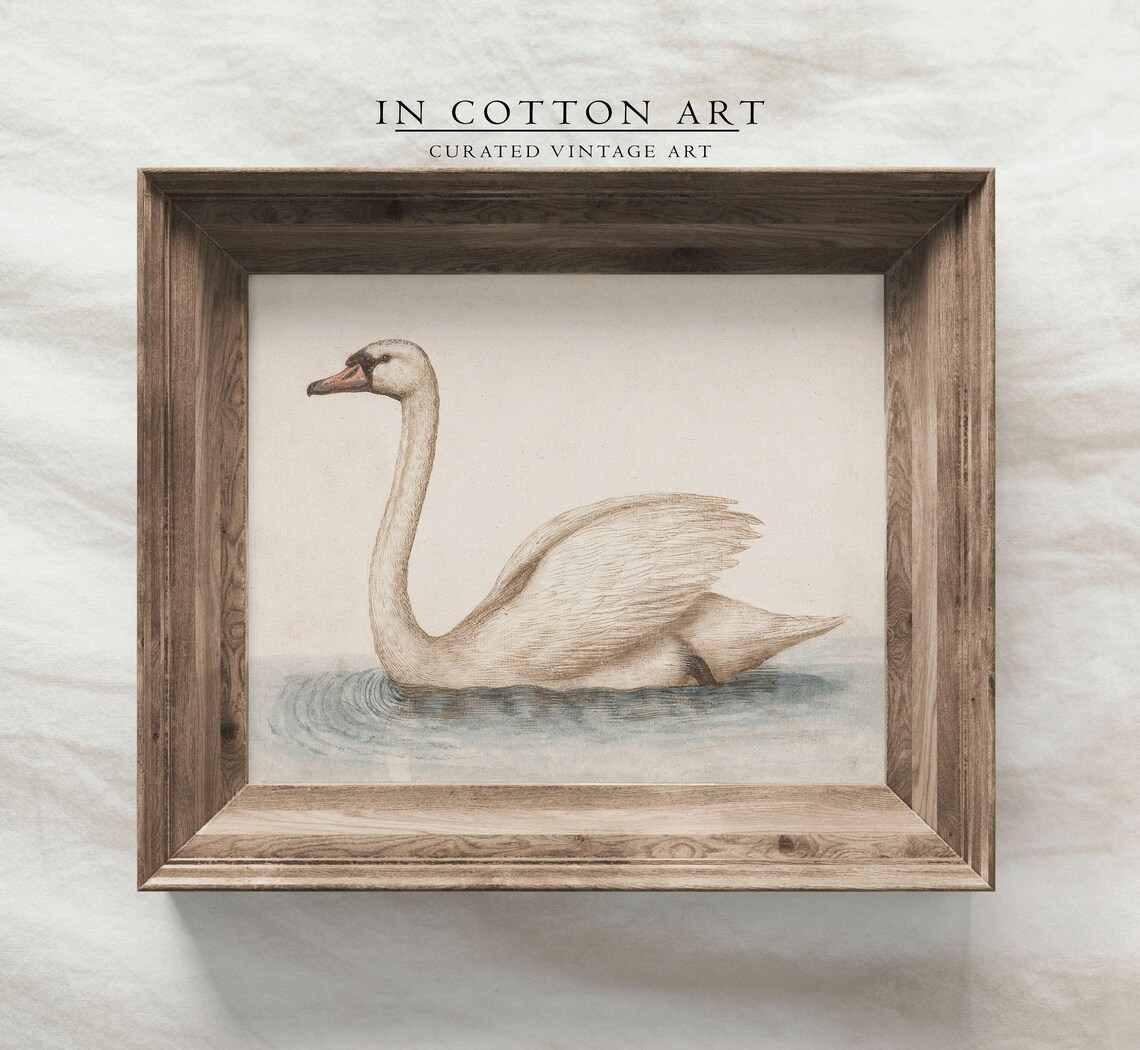 Vintage Swan Painting, French Country Nursery Art Print - Image 3
