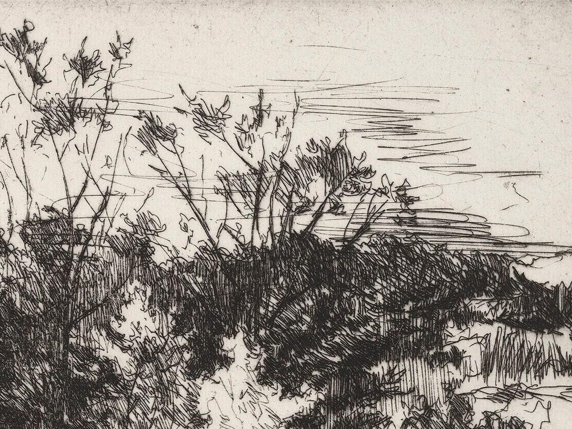 Antique Ink Etching Landscape Sketch Rustic Tree Thicket Art Print - Image 2