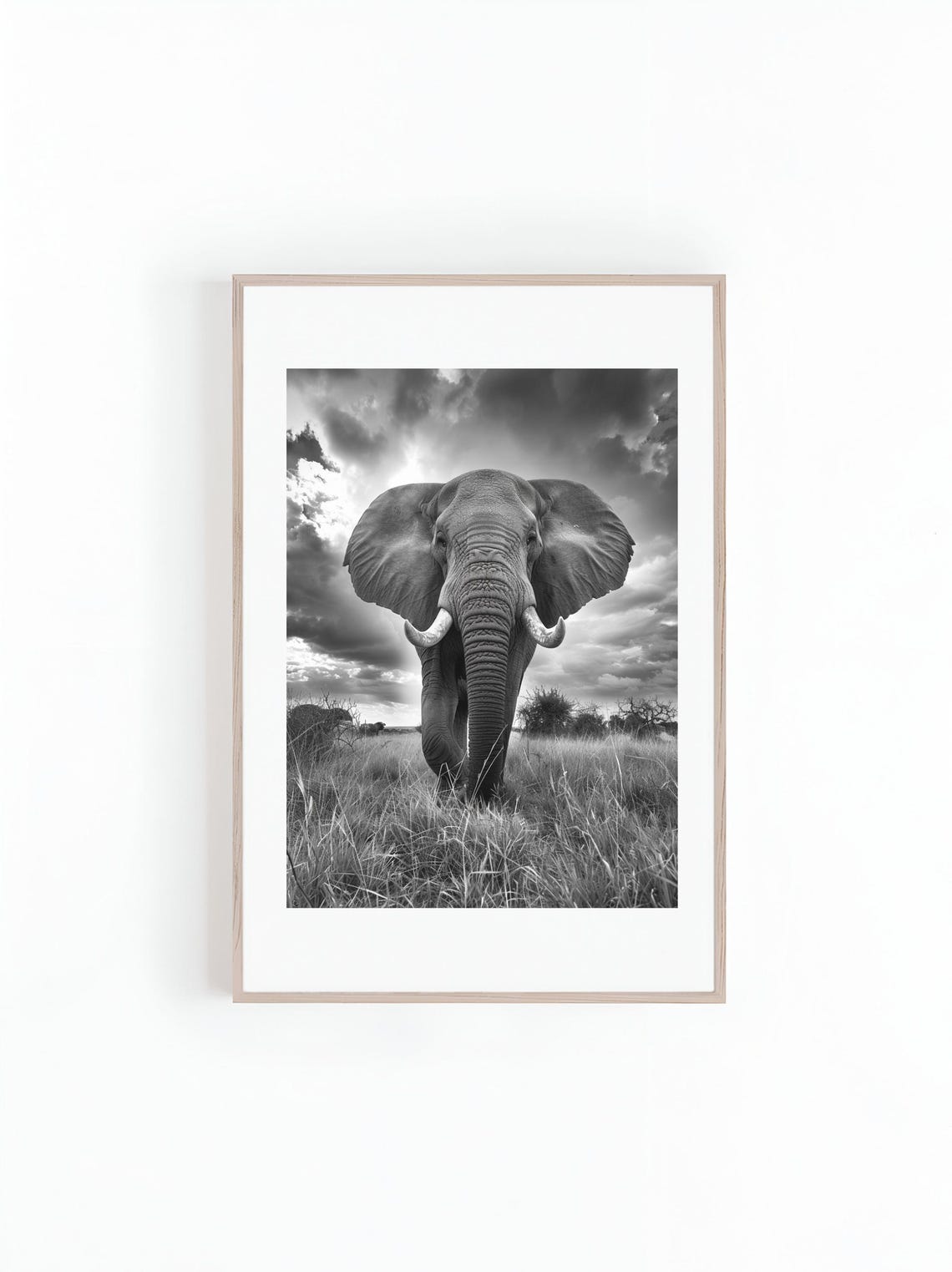 African Elephant in Black and White, Animal Art Print