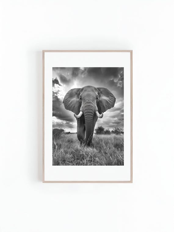 African Elephant in Black and White, Animal Art Print