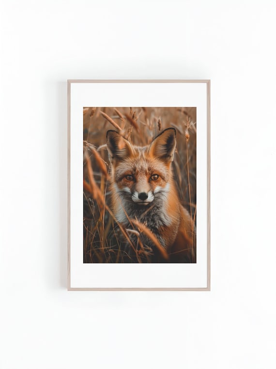 Forest Fox Wildlife Photography Art Print