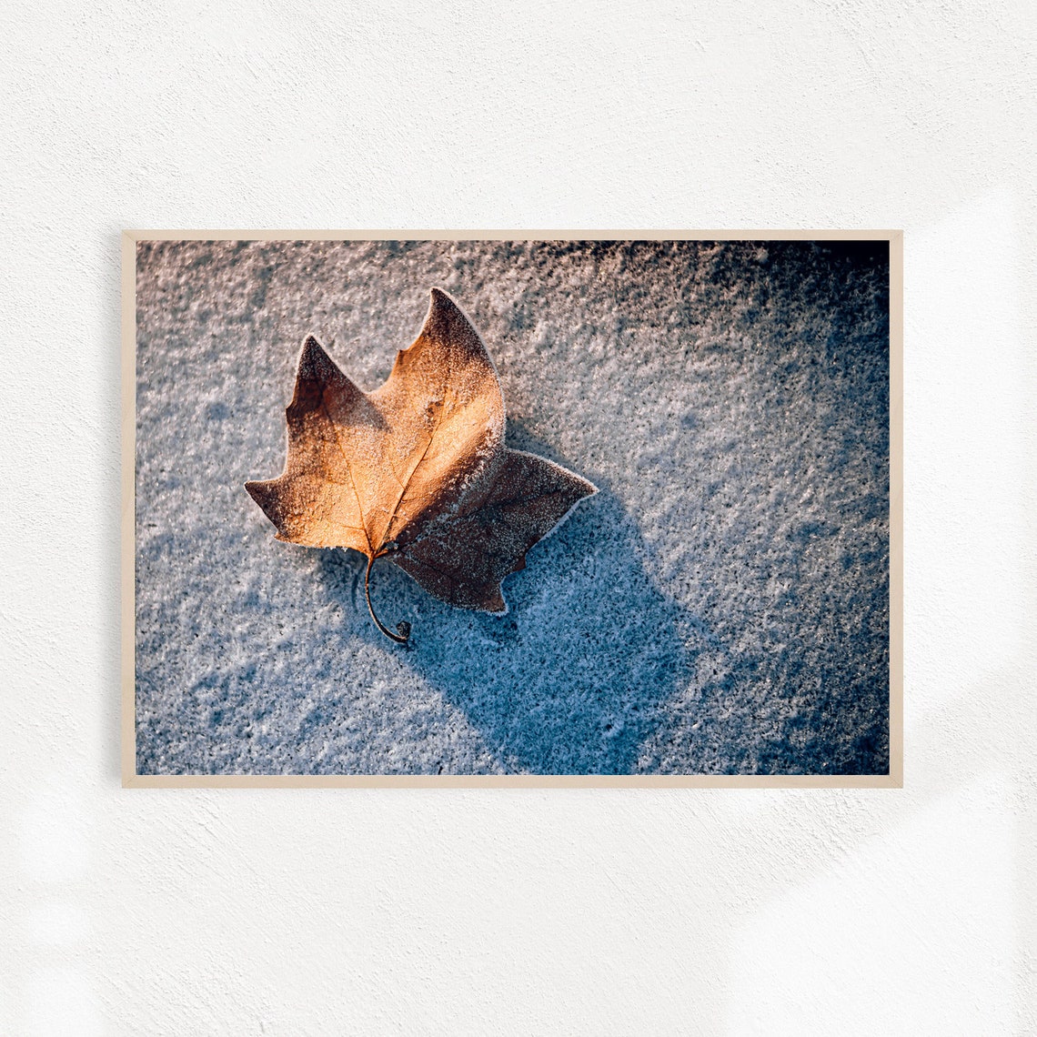 Frost Covered Golden Leaf Resting On Sparkling Frost Photo Poster