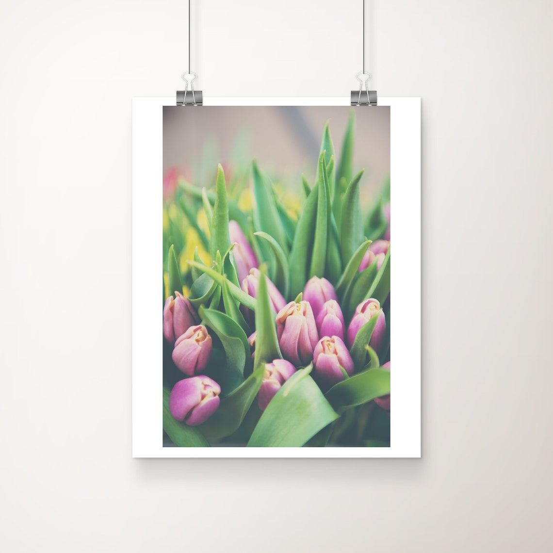 Pink Tulips Fresh Spring Flower Bouquet Close Up Photo Poster
