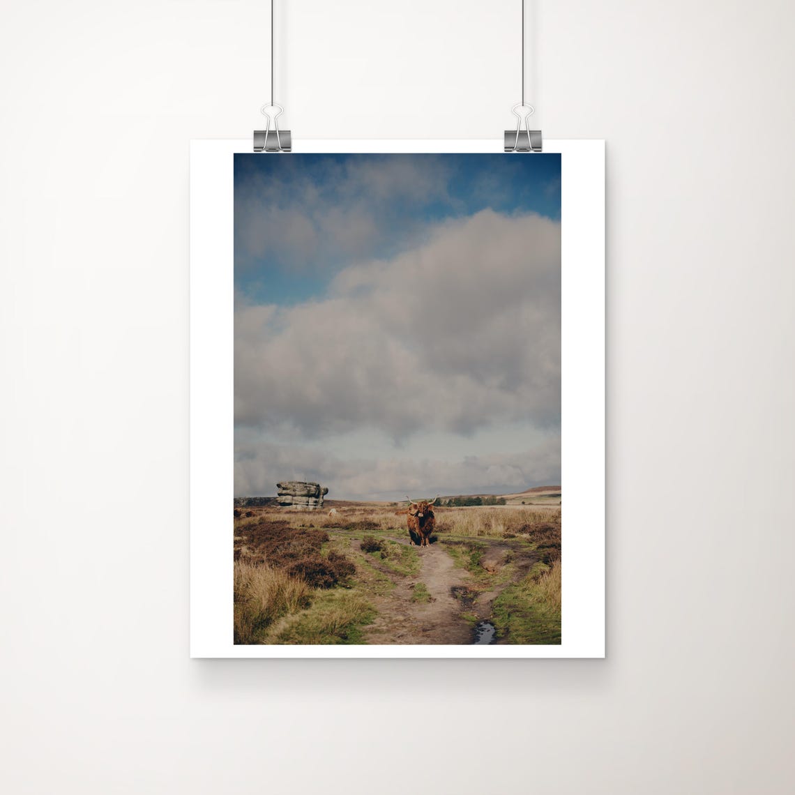 Highland Cow Peak District Moor Rock Formation Photograph Poster
