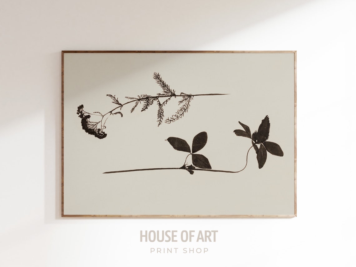 Minimal Black Ink Botanical Study Two Stems Cream Background Wall Art