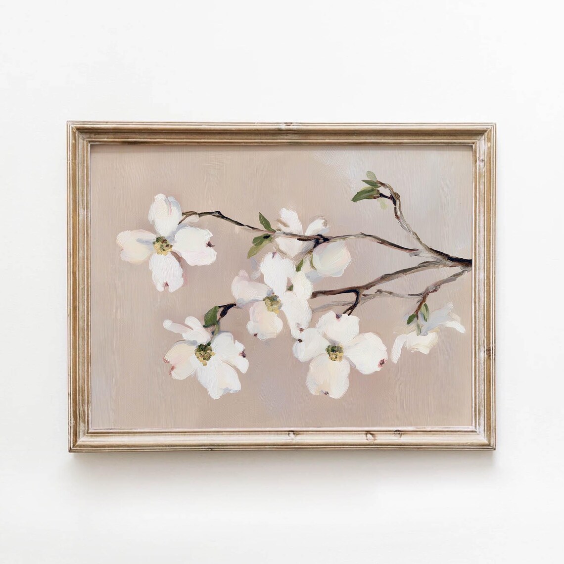 White Dogwood Blossoms Vintage Floral Branch on Blush Pink Poster