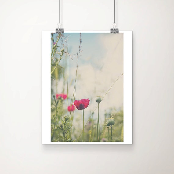 Pink Poppy Photograph Flower Print Neon Decor English Garden Art Botanical Wild Floral