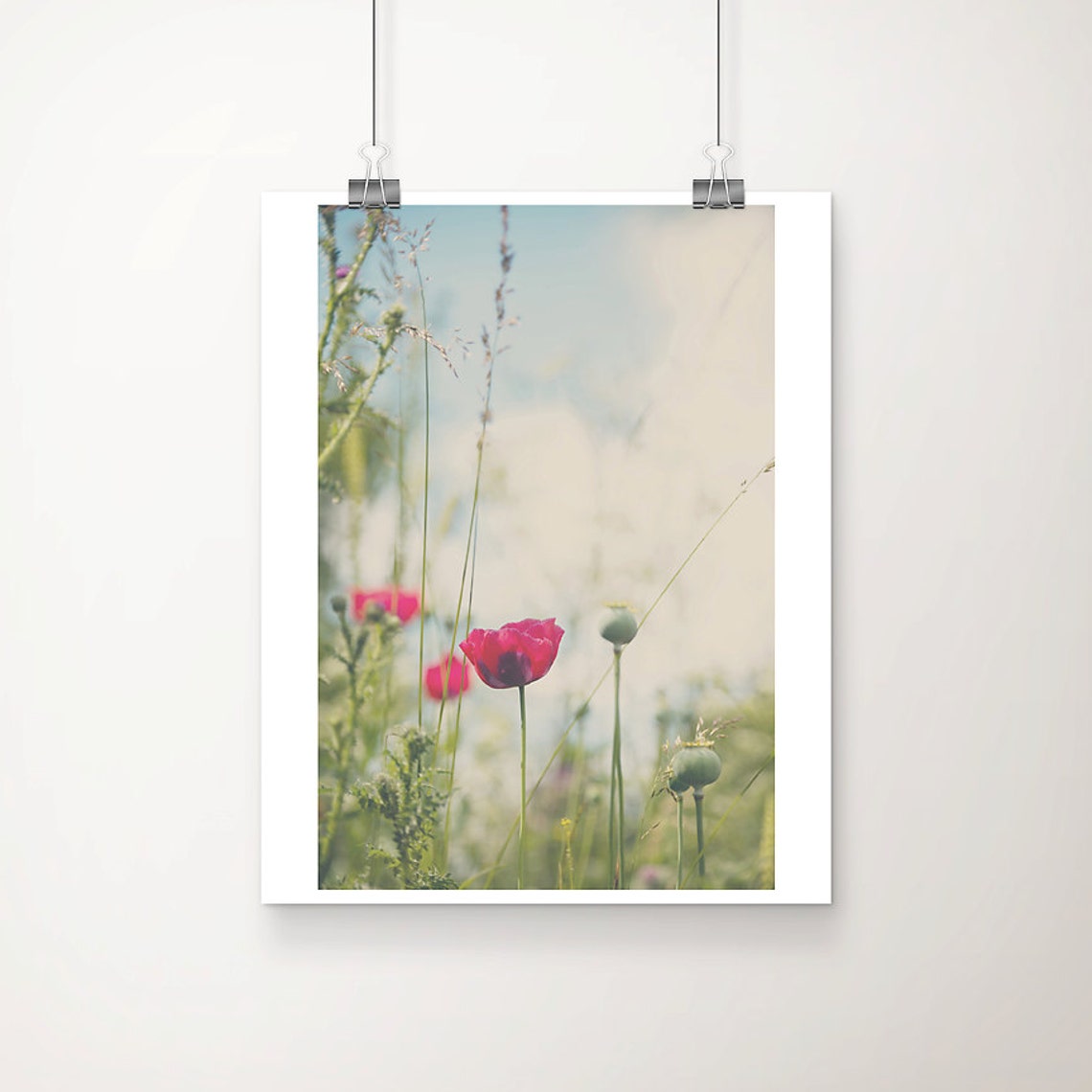 Pink Poppy Photograph Flower Print Neon Decor English Garden Art Botanical Wild Floral