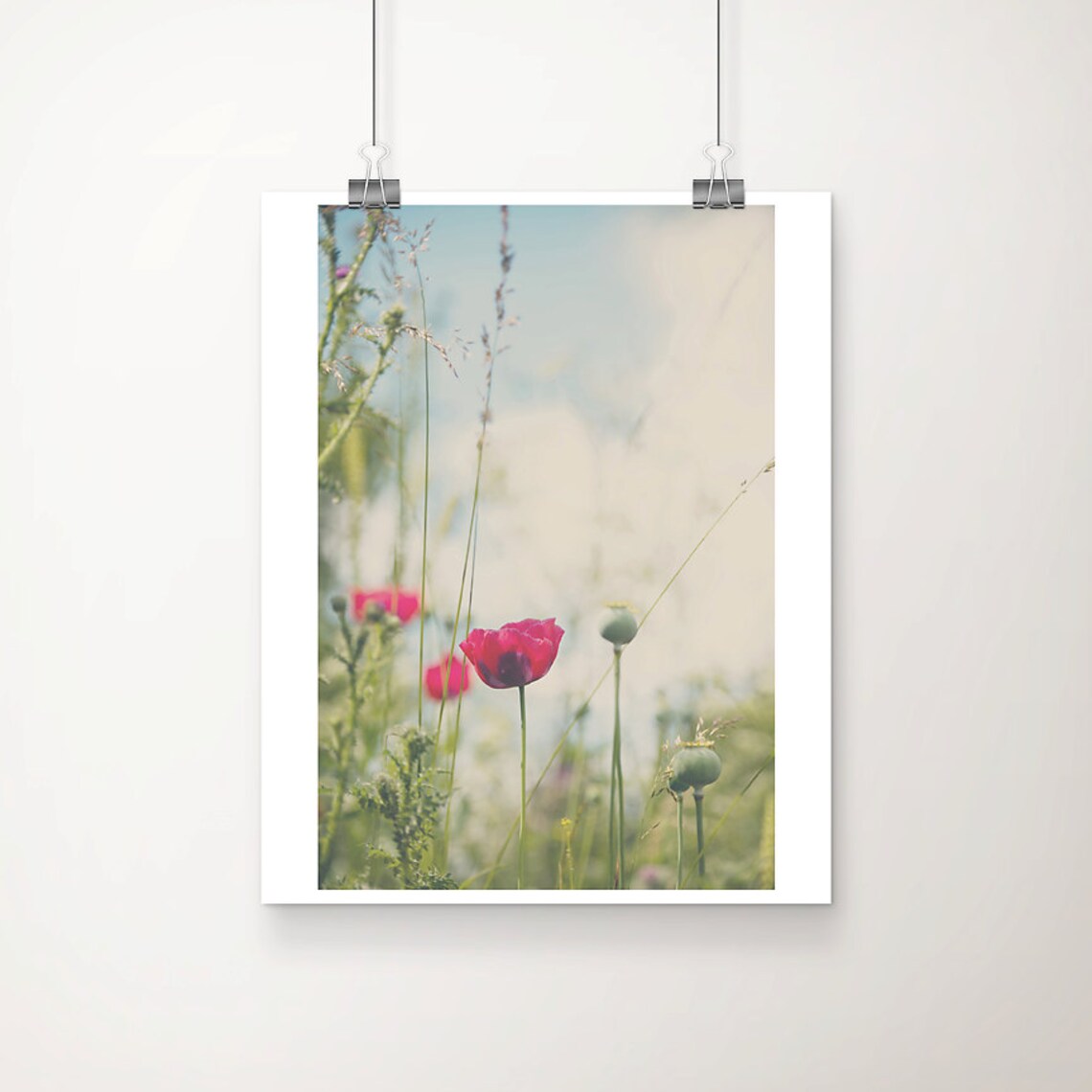 Pink Poppy Wildflower Meadow Dreamy Photography Flower Art Poster