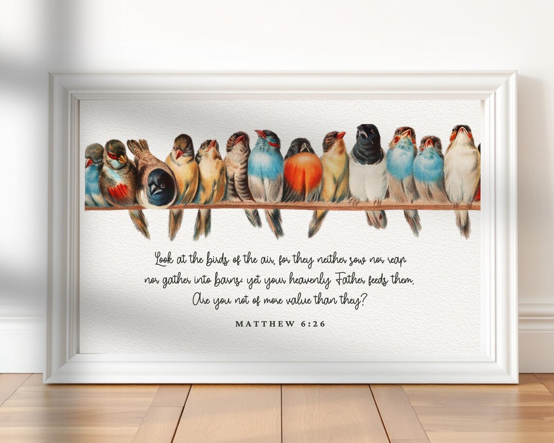 Vintage Birds Illustration Matthew 6:26 Art Print