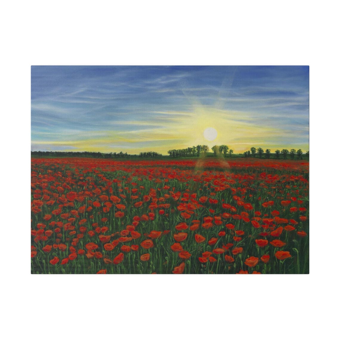 Red Poppy Field Sunset Bloom Blue Sky Wildflower Meadow Poster - Image 5