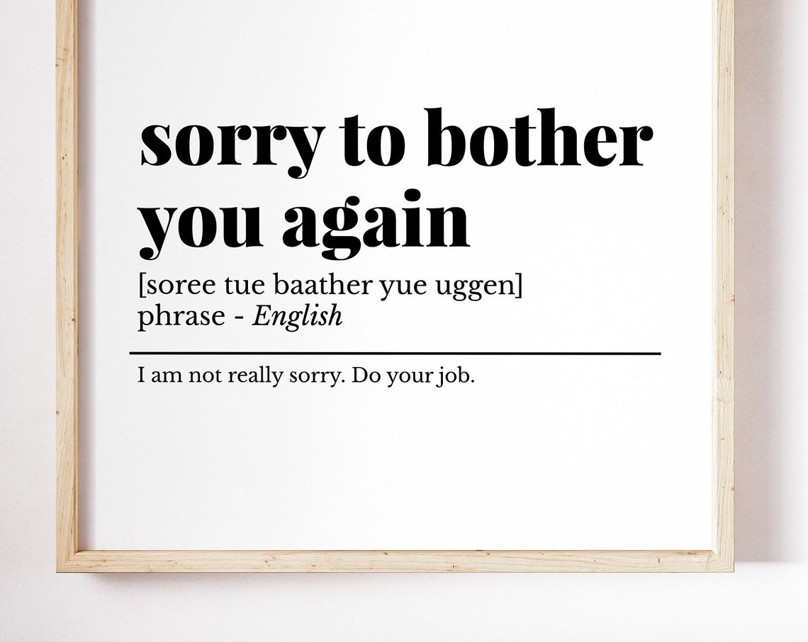 Sorry to Bother You Again Funny Definition Poster Office Wall Decor