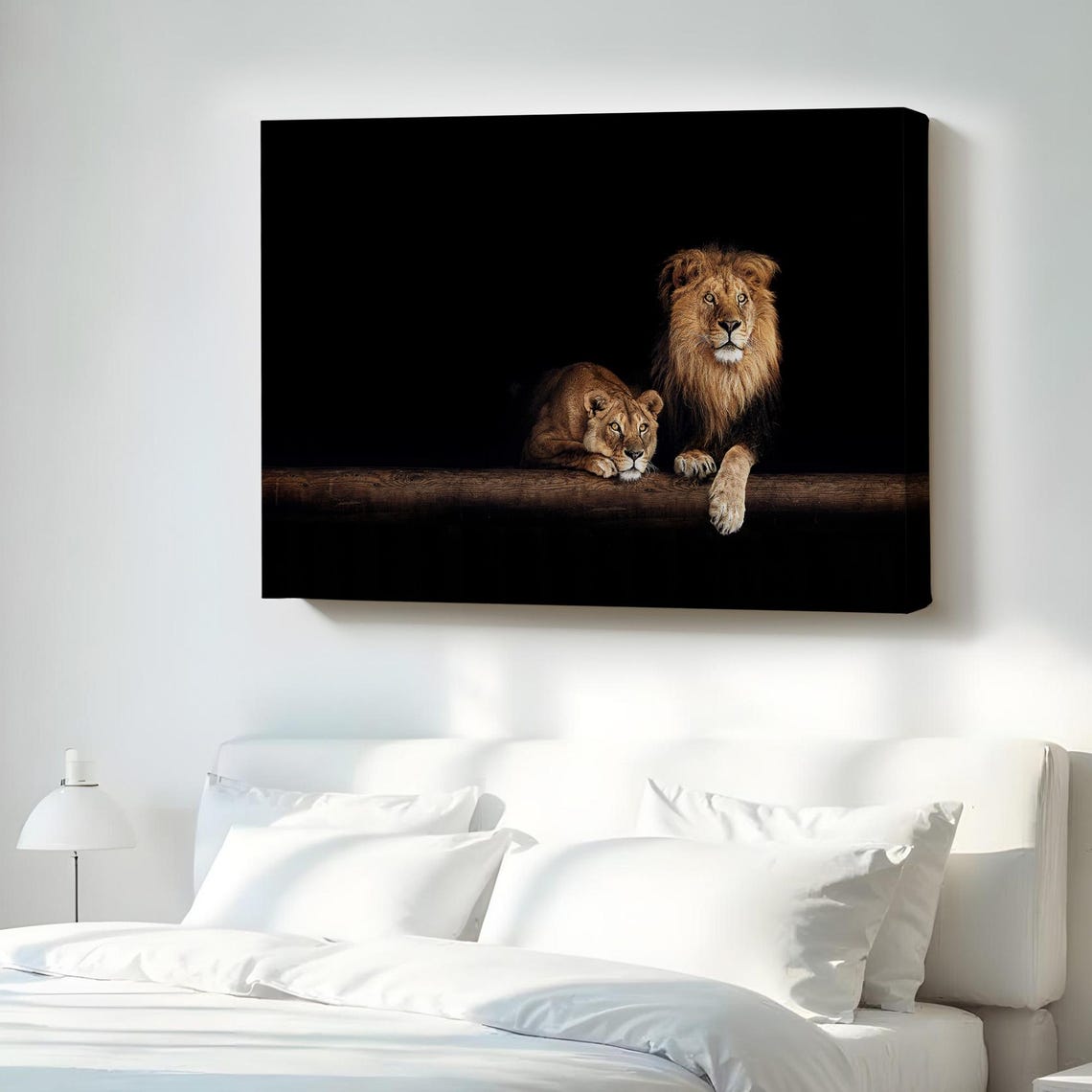 Lion And Lioness Black Background Dramatic Wildlife Photo Poster