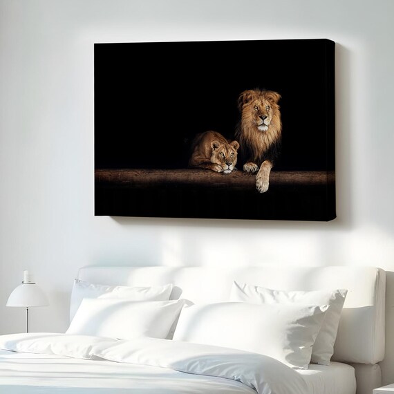 Lion And Lioness Black Background Dramatic Wildlife Photo Poster