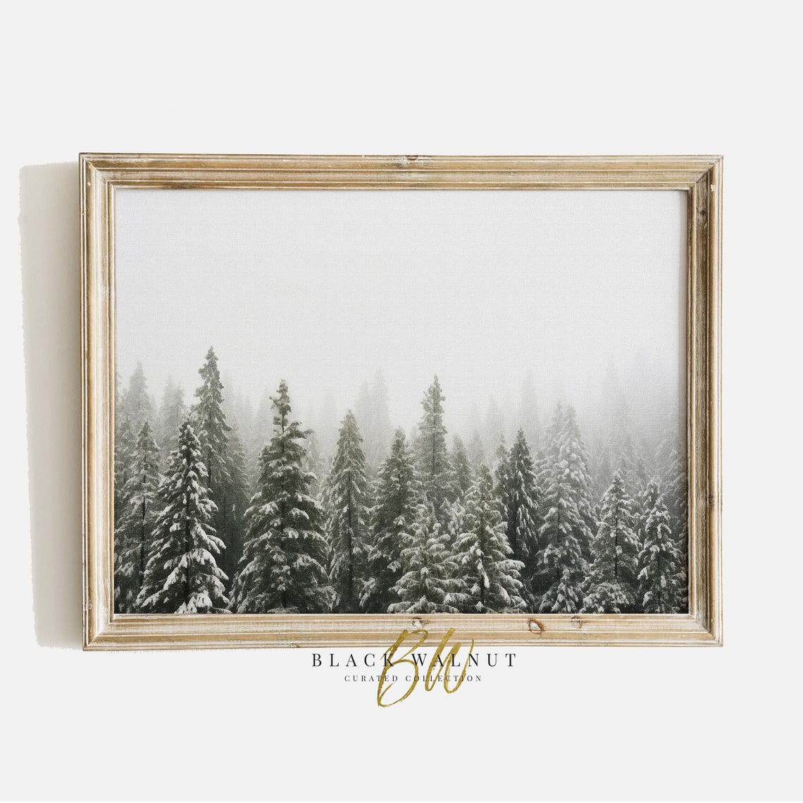 Misty Snow Covered Fir Forest Winter Landscape Horizontal Poster