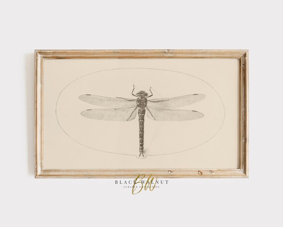 Vintage Dragonfly Entomology Sketch Neutral Beige Insect Drawing Wall Art