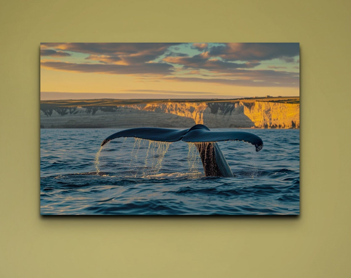 Whale Fluke Splashing at Golden Sunset Sea Cliffs Ocean Poster