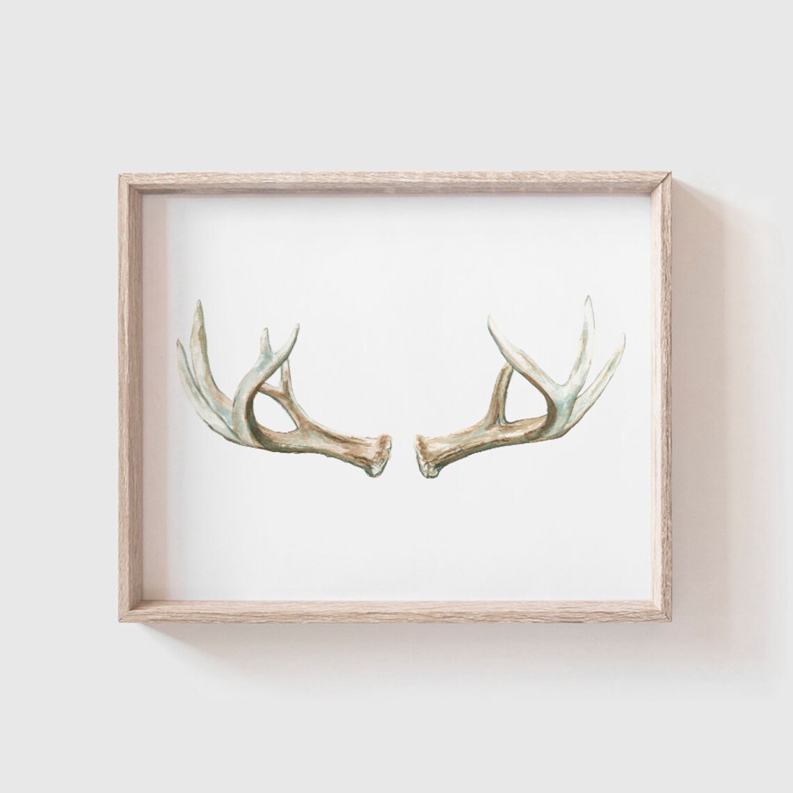 Antlers No. 1 Watercolor Antler Art Print