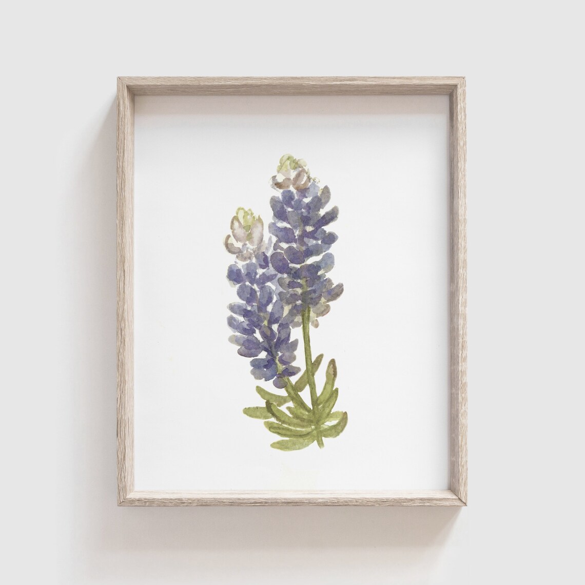 Bluebonnet Watercolor Art Print, Floral Home Decor