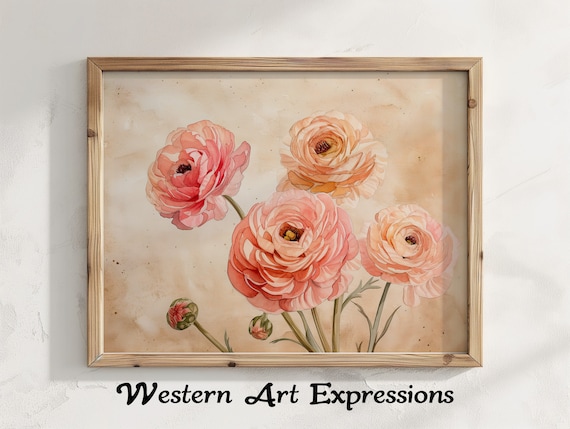 Watercolor Ranunculus Blooming Floral Wall Art Vintage Pink Print Botanical Illustration Decor