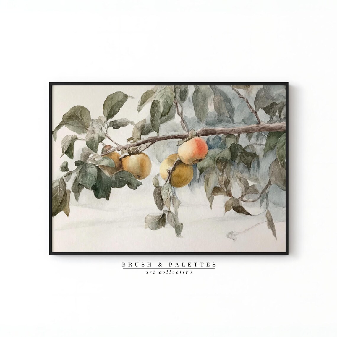 Ripe Apples Leafy Branch Watercolor Botanical Fruit Art Print
