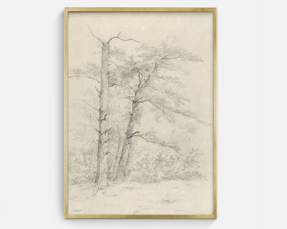 Antique Tree Sketch Art Black And White Trees Drawing Print
