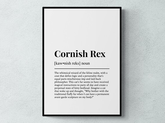 Cornish Rex Funny Definition Dictionary Style Black White Wall Art Poster