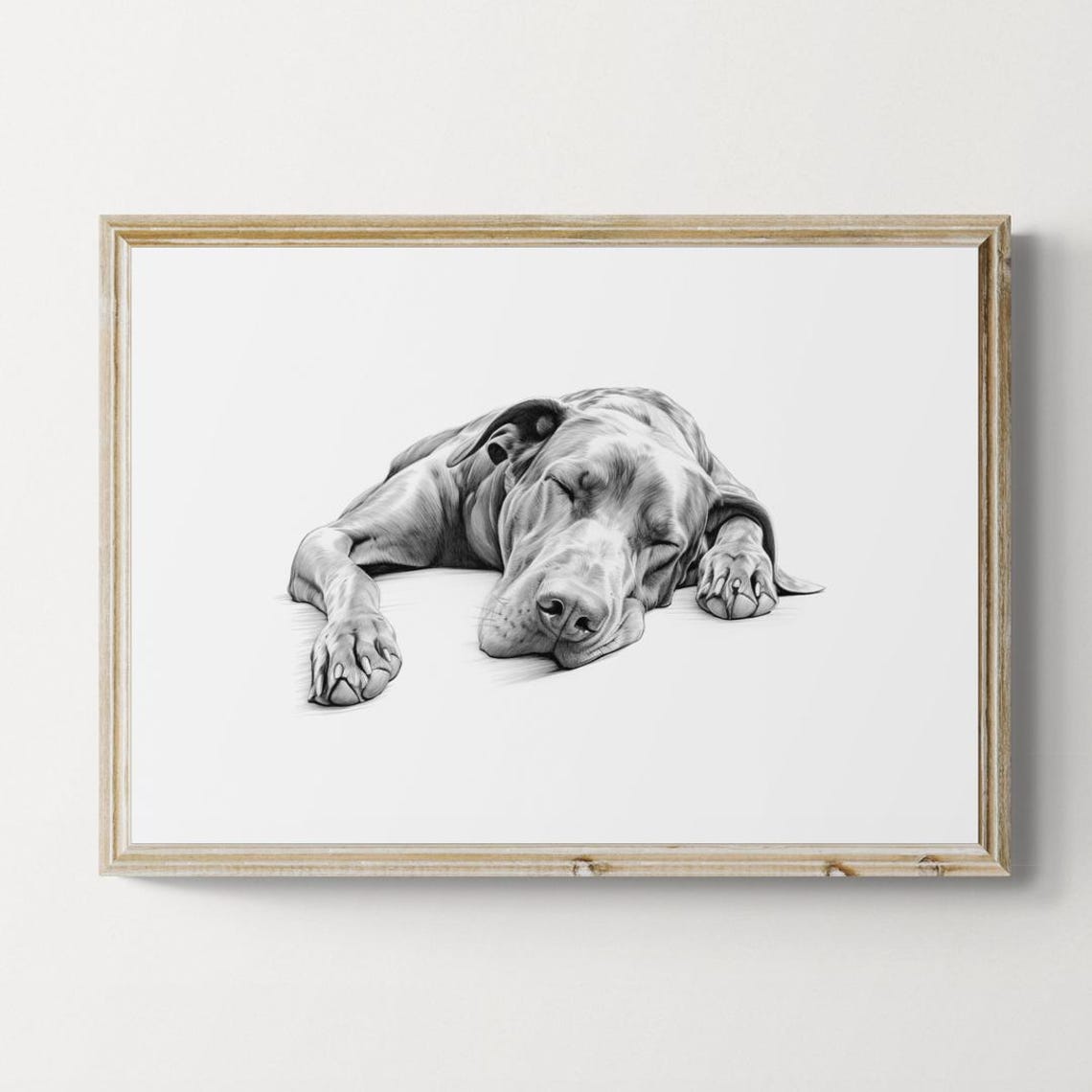 Sleeping Dog Pencil Sketch Peaceful Pup Nap Black White Dog Print