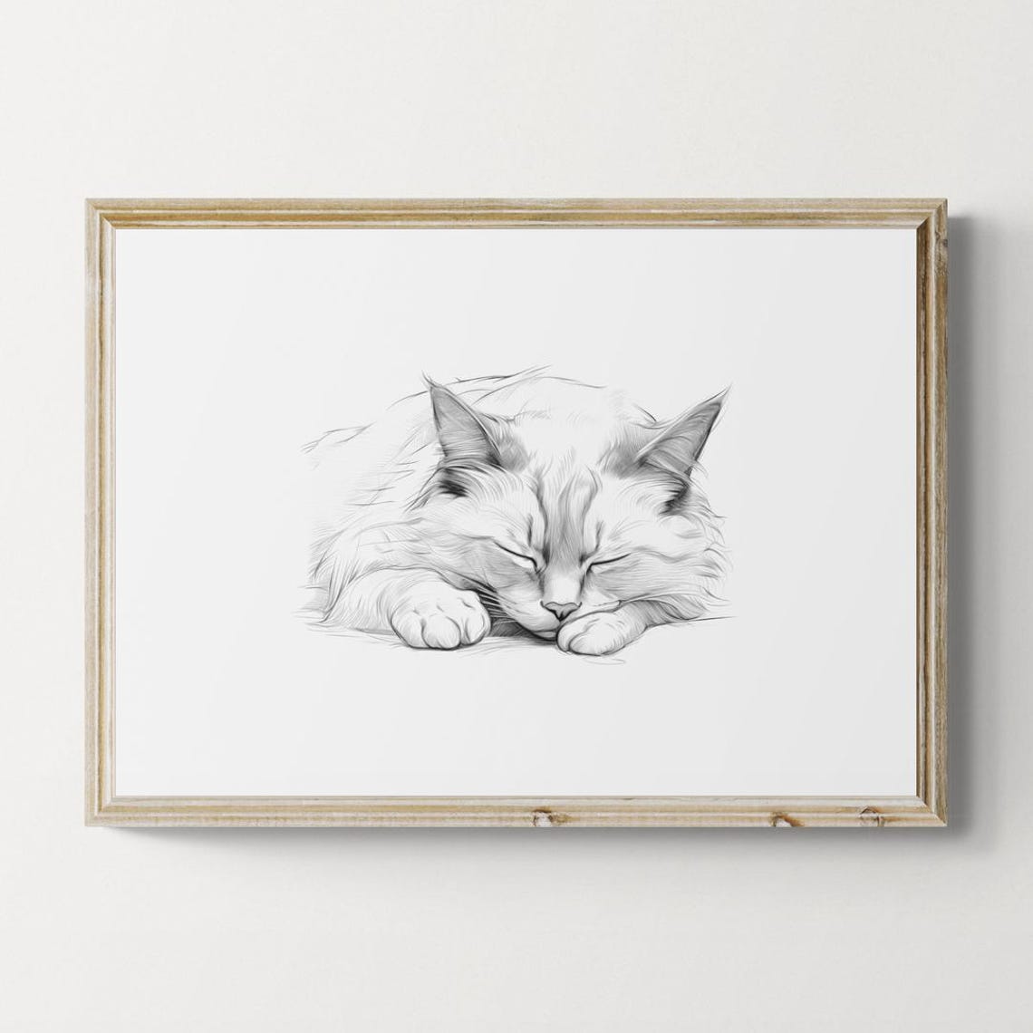 Sleeping Birman Cat Pencil Sketch Minimalist Black White Cat Poster