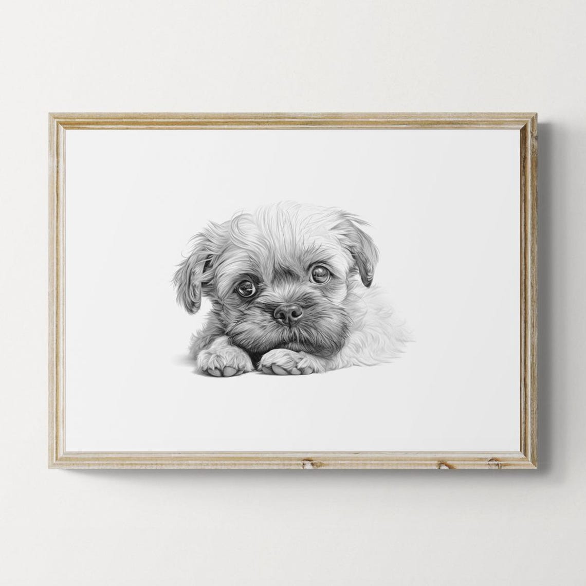 Brussels Griffon Small Puppy Sketch Lying Down Vintage Dog Poster