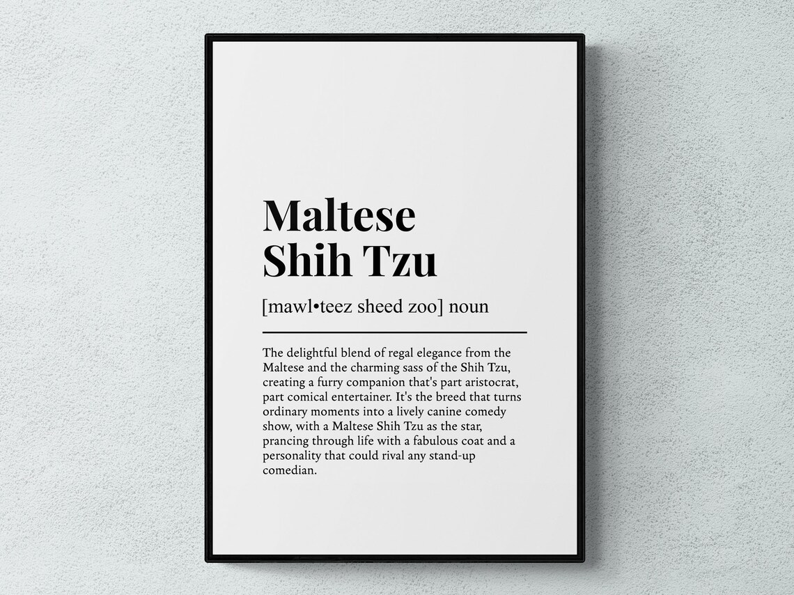 Maltese Shih Tzu Funny Definition Art Print