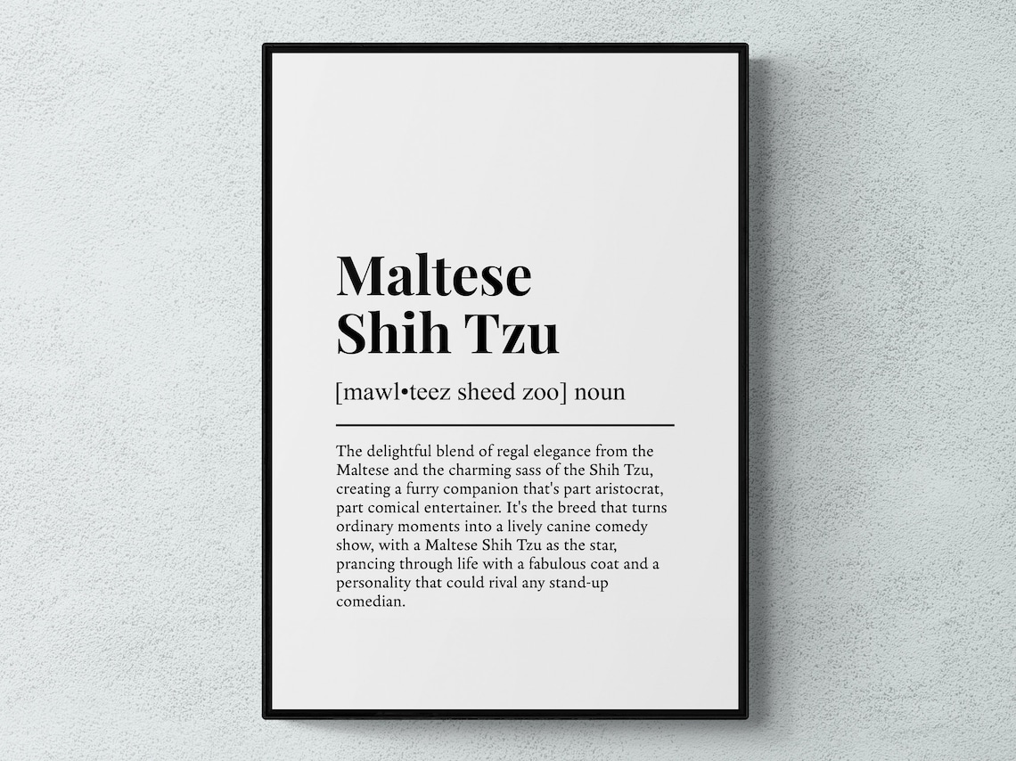 Maltese Shih Tzu Funny Dog Definition Art Print
