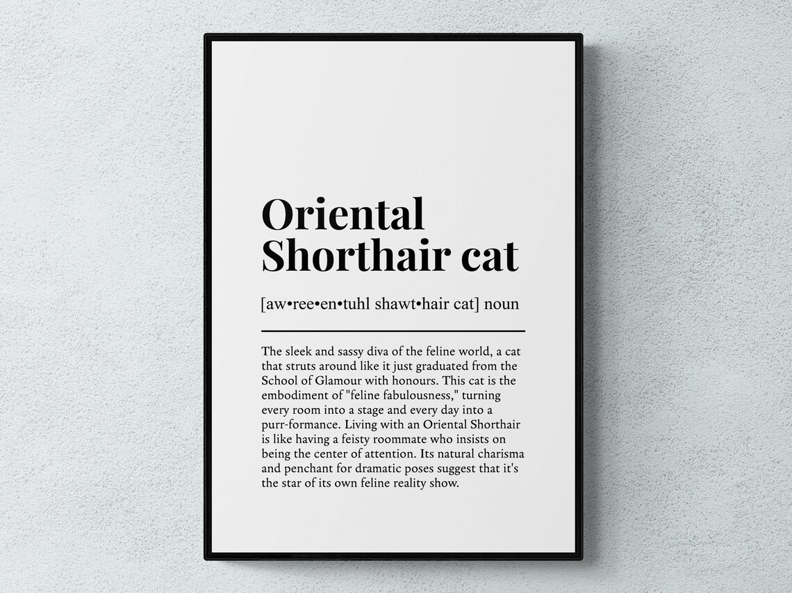 Oriental Shorthair Cat Funny Definition Wall Art Print