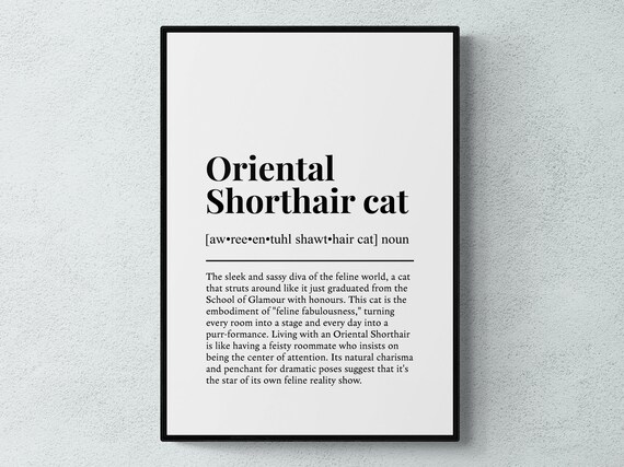 Oriental Shorthair Cat Funny Definition Wall Art Print