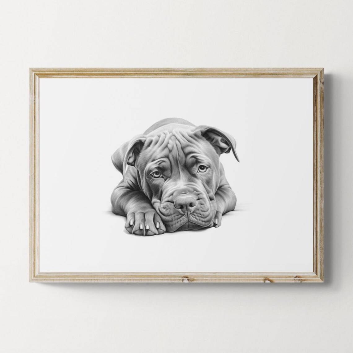 Cane Corso Puppy Wrinkled Mastiff Puppy Pencil Sketch Portrait Print