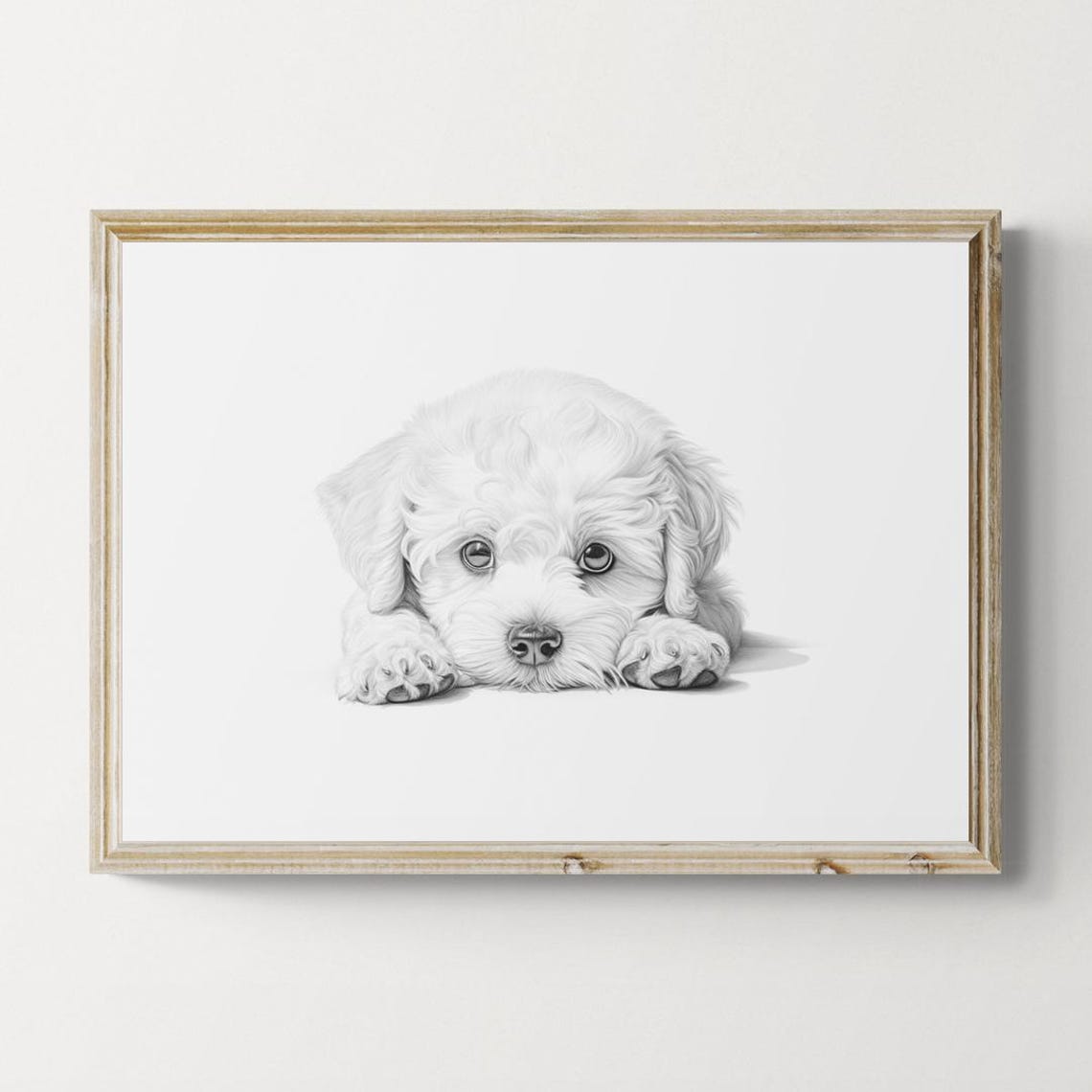 Bichon Frise Puppy White Fluffy Lapdog Pencil Sketch Portrait Print