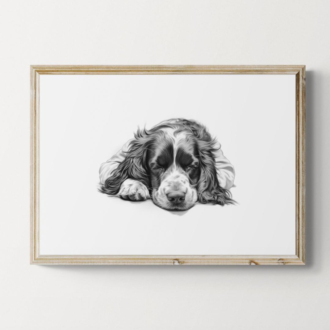 Sleeping Springer Spaniel Vintage Dog Sketch Art Print