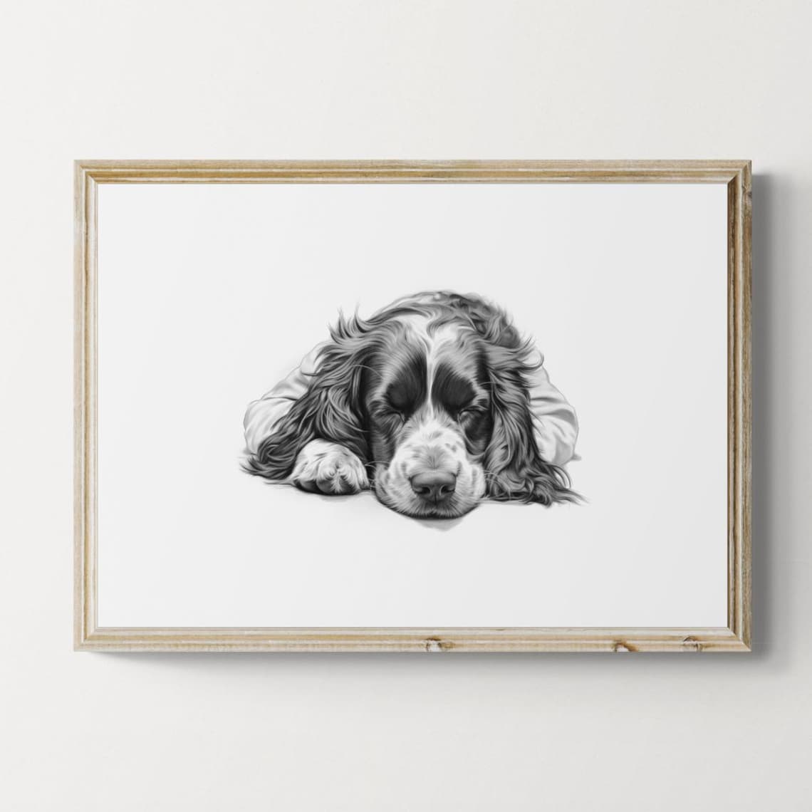 Sleeping Springer Spaniel, Vintage Farmhouse Art Print