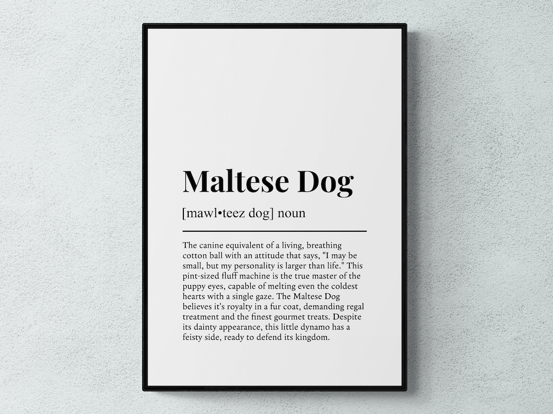 Maltese Dog Funny Definition Wall Art Print